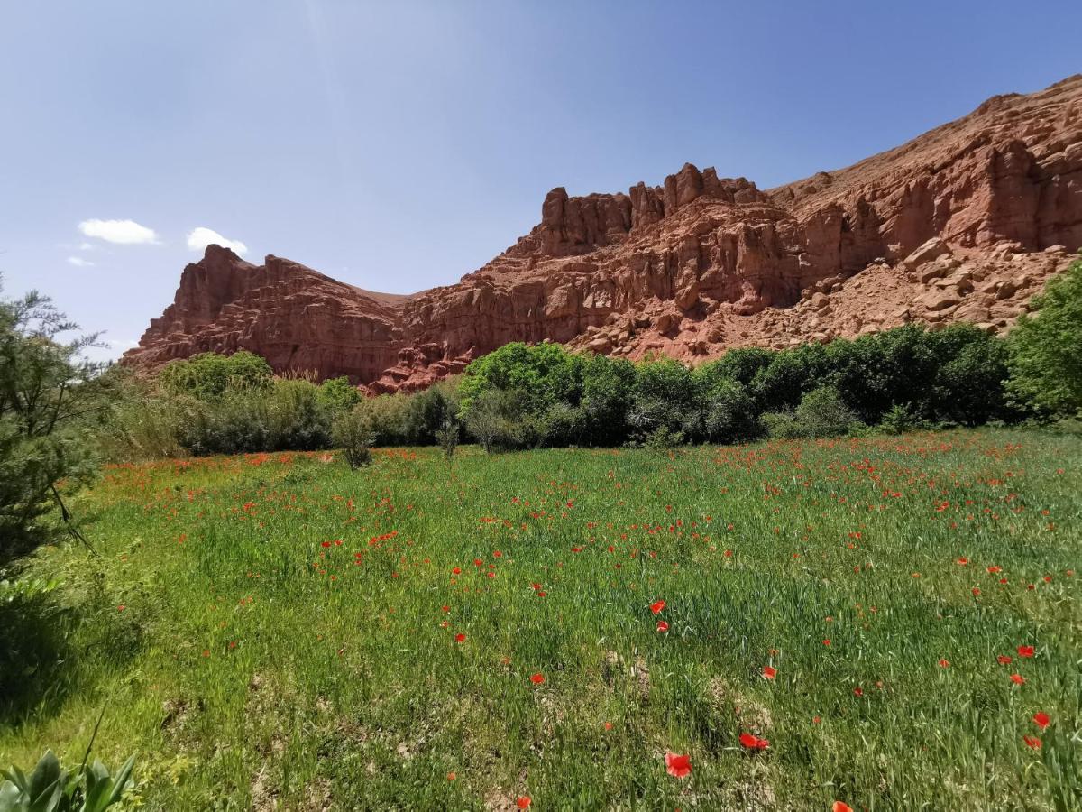 Bab El Atlas Kelaat-M'Gouna Dış mekan fotoğraf
