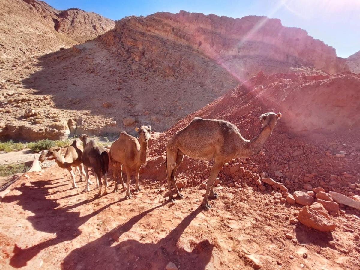 Bab El Atlas Kelaat-M'Gouna Dış mekan fotoğraf